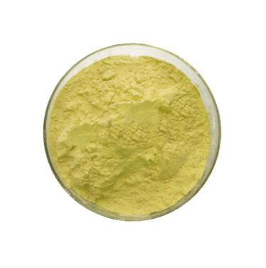 Glucoraphanin-content 13%