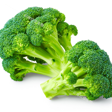 The content of thioside in radish is 22% The content of thioside in radish is 22%