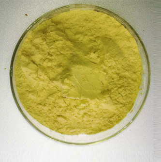 Yunnan Jiuzhen Science Populariz