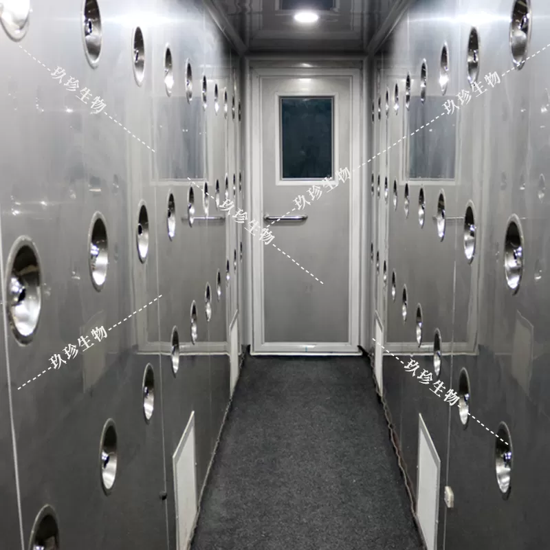 Jiuzhen broccoli planting base in Yunnan